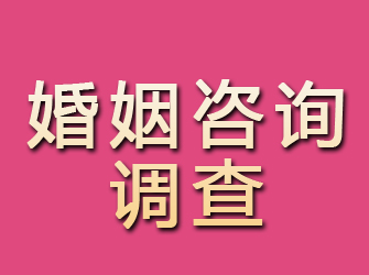 甘井子婚姻咨询调查